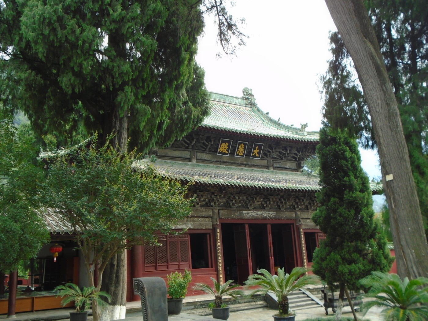 DSC06162.JPG