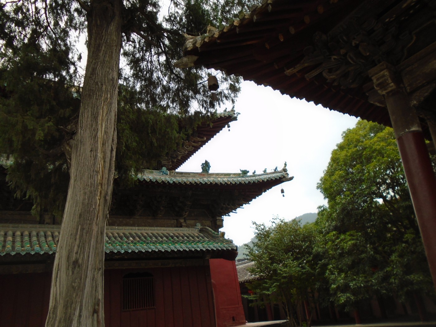 DSC06189.JPG