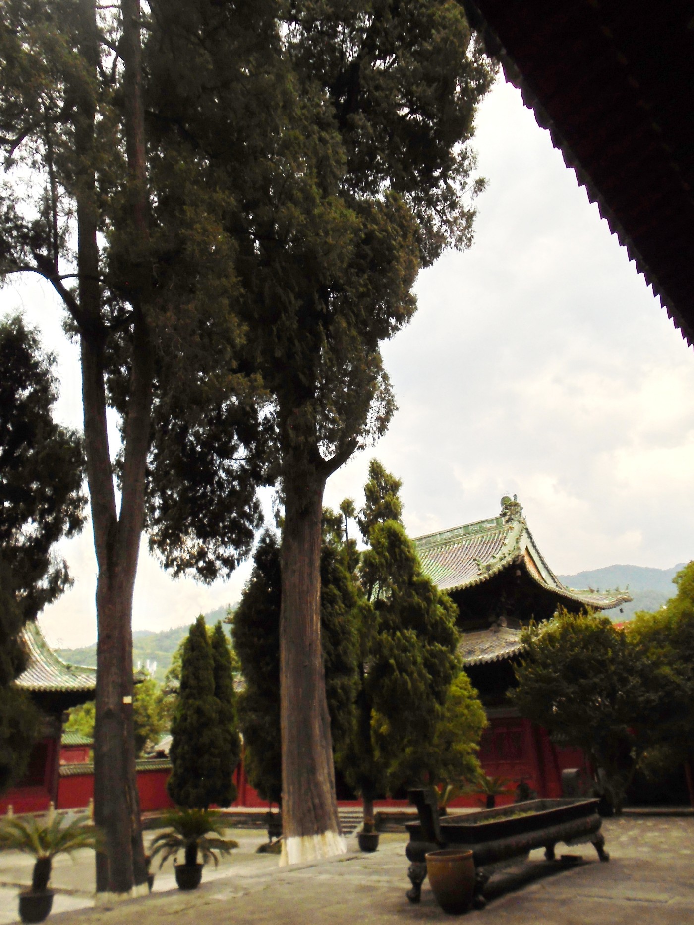 DSC06201.JPG