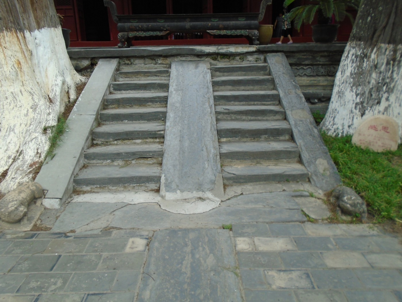 DSC06202.JPG