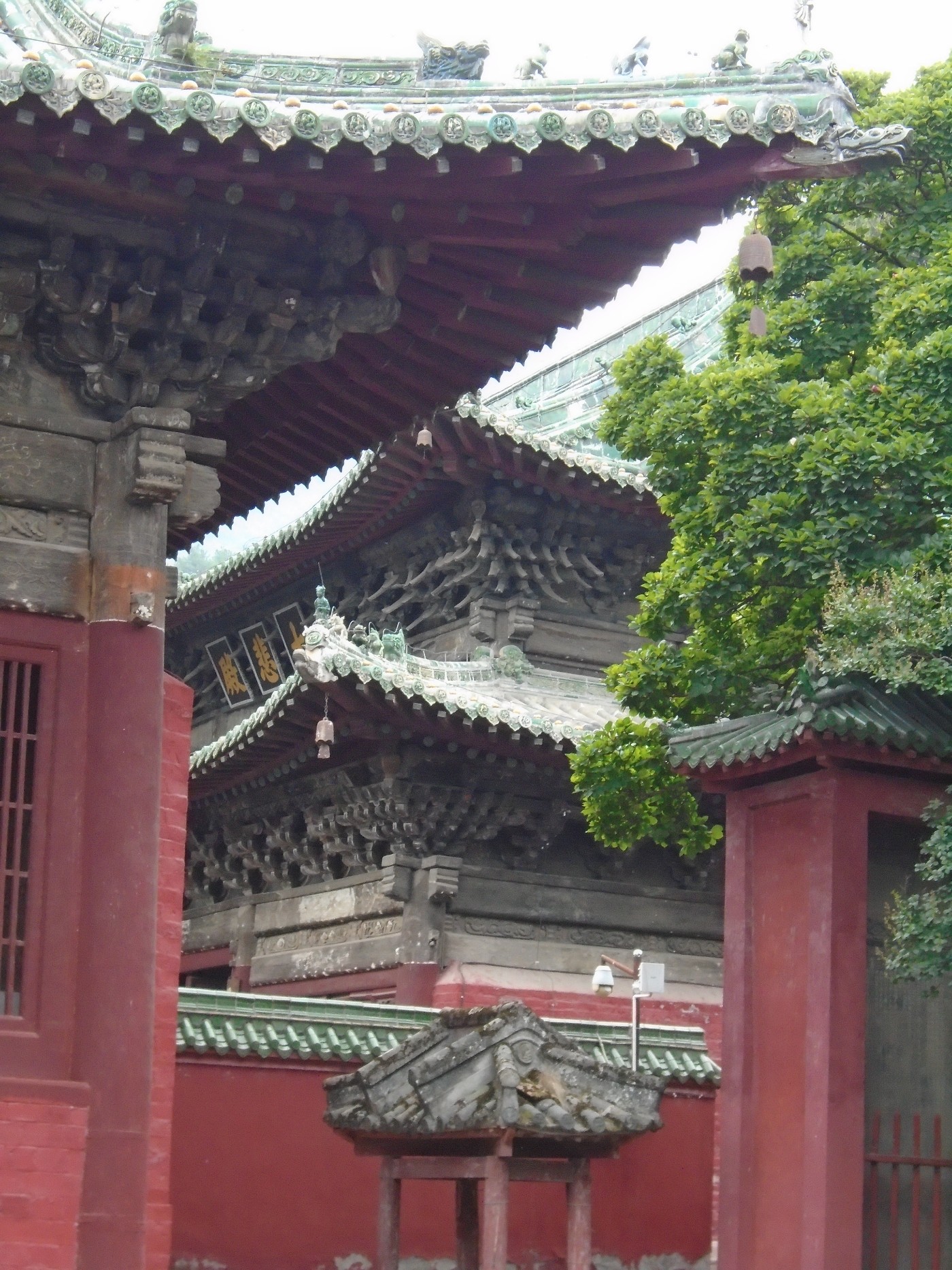 DSC06223.JPG