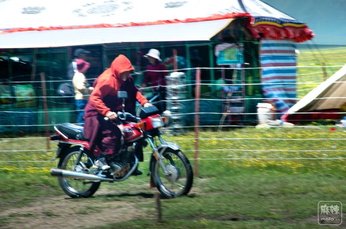 DSC_1166.jpg