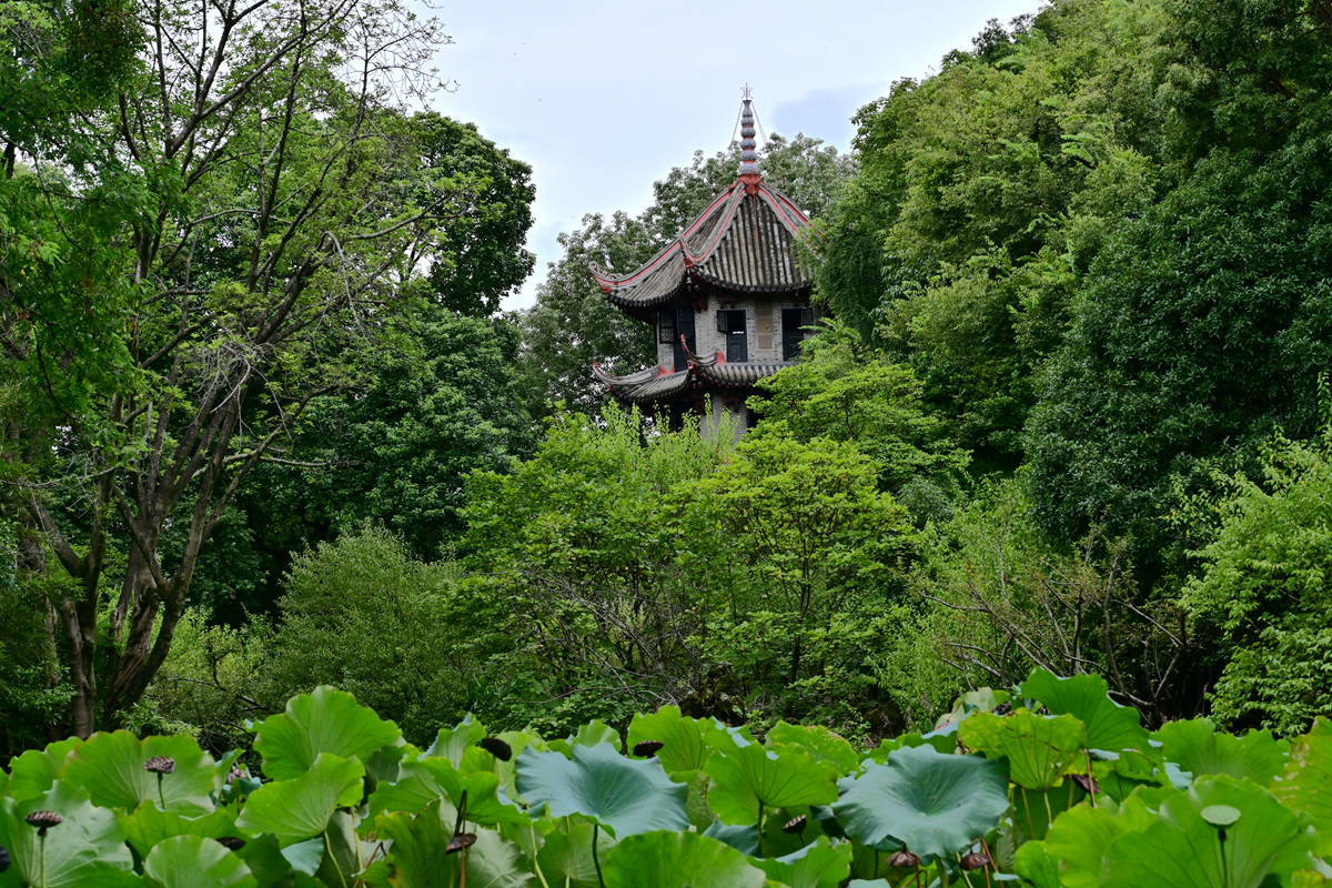 DSC_9329_����.jpg