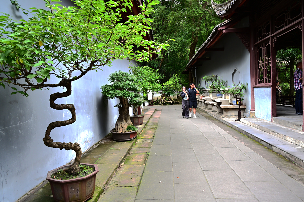 DSC_9479_����.jpg