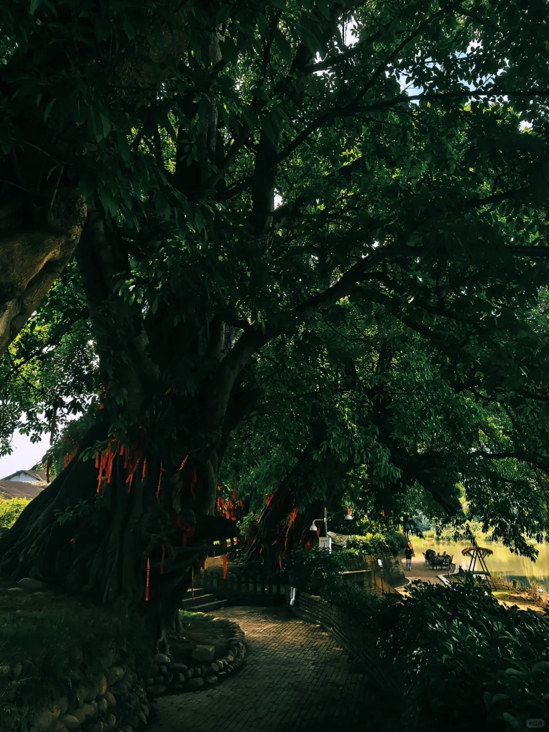 image_13.png