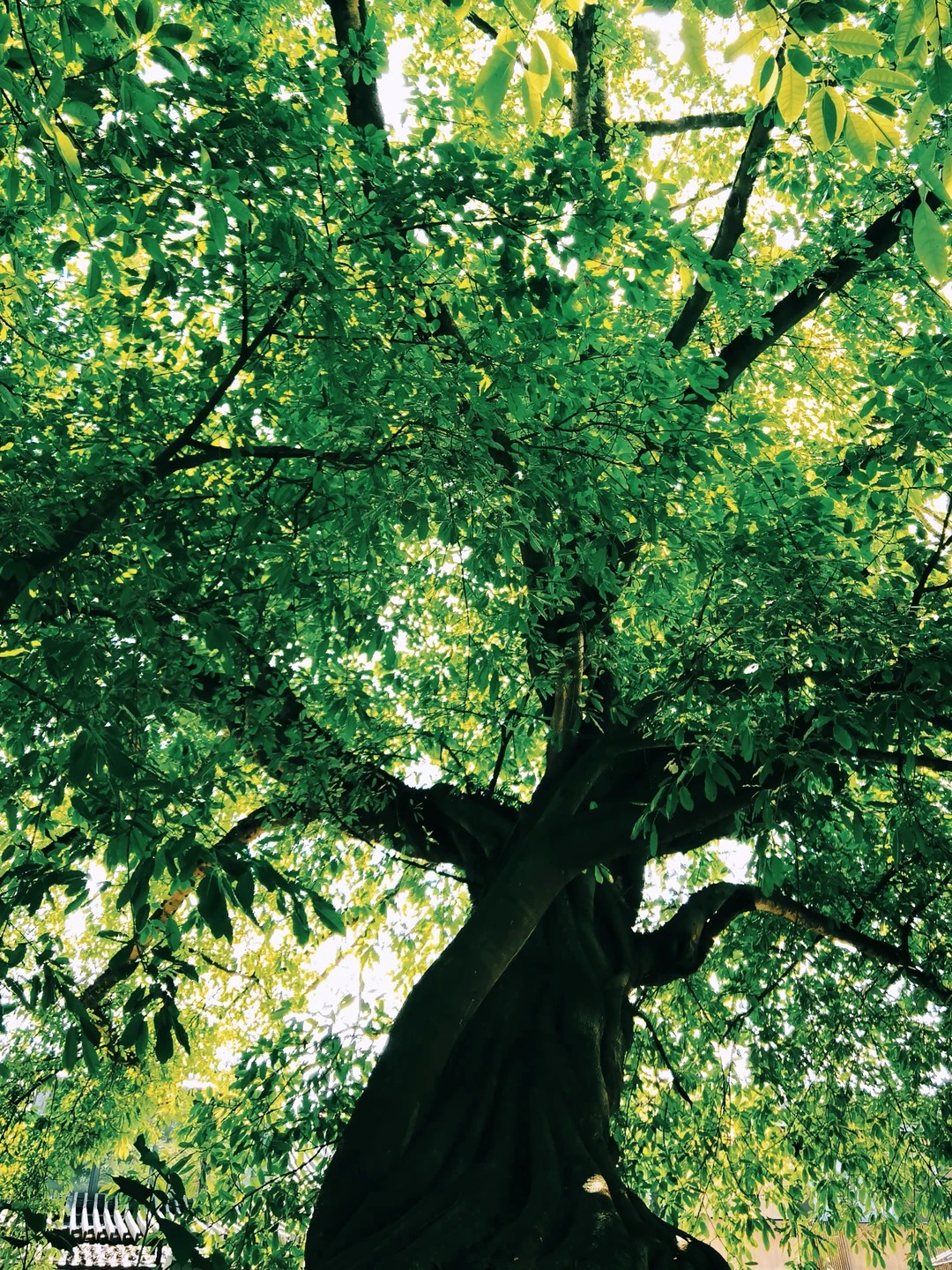 image_15.png