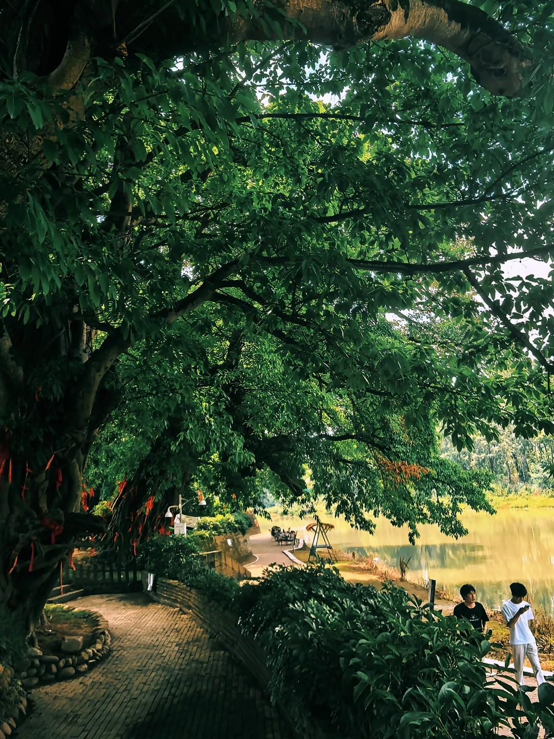image_14.png