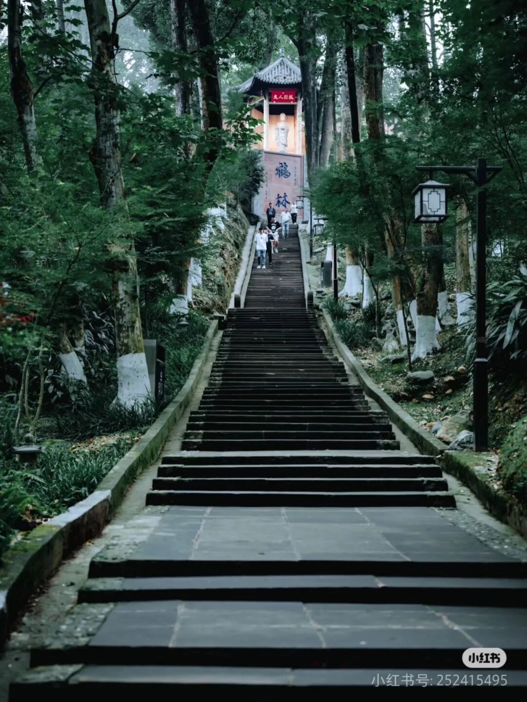 image_6.jpg