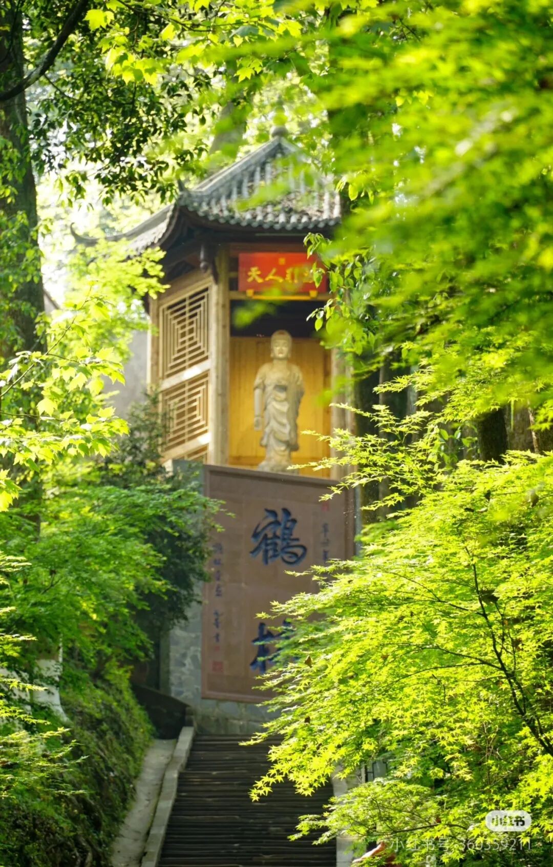 image_5.jpg
