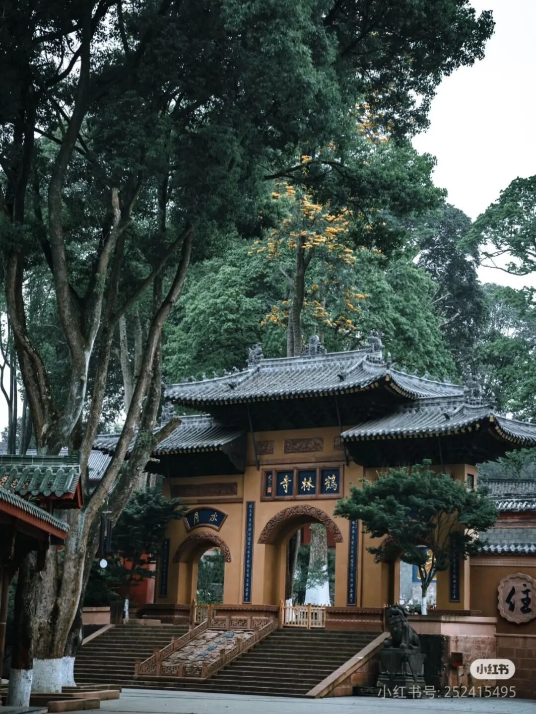 image_7.jpg