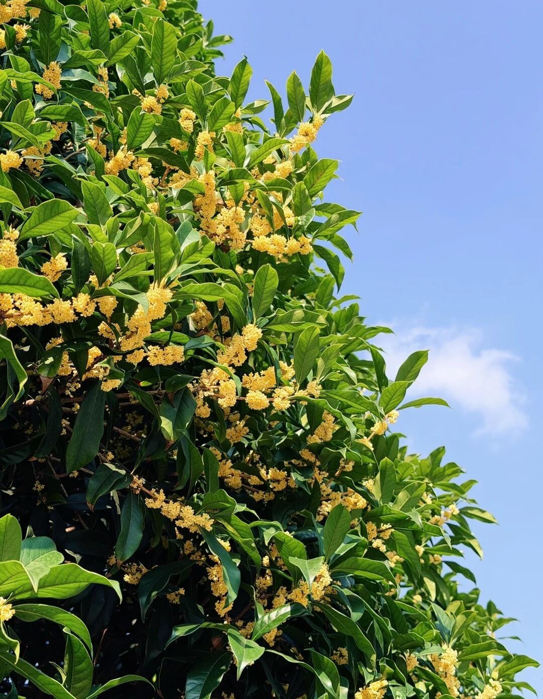 image_8.jpg