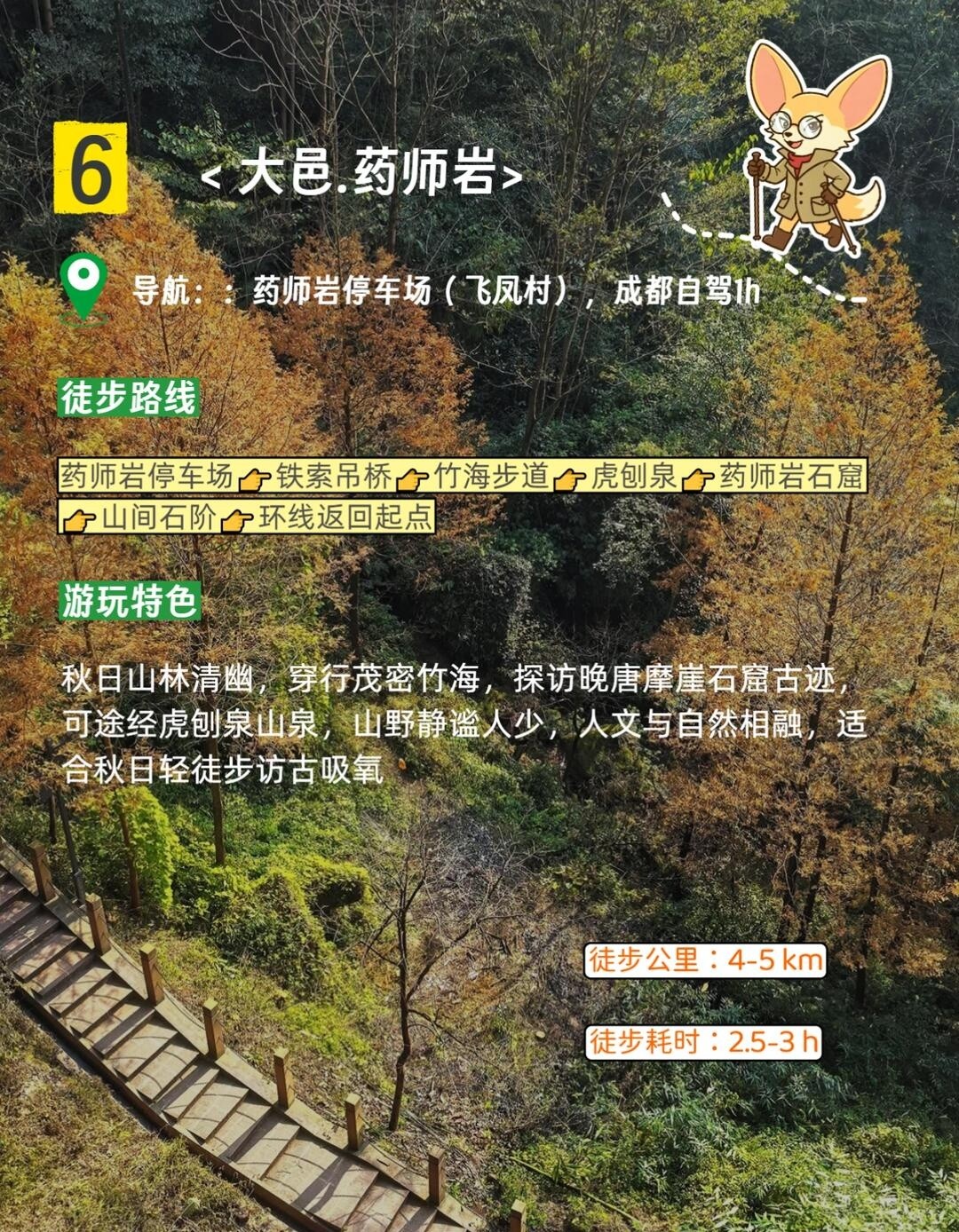 image_8.jpg