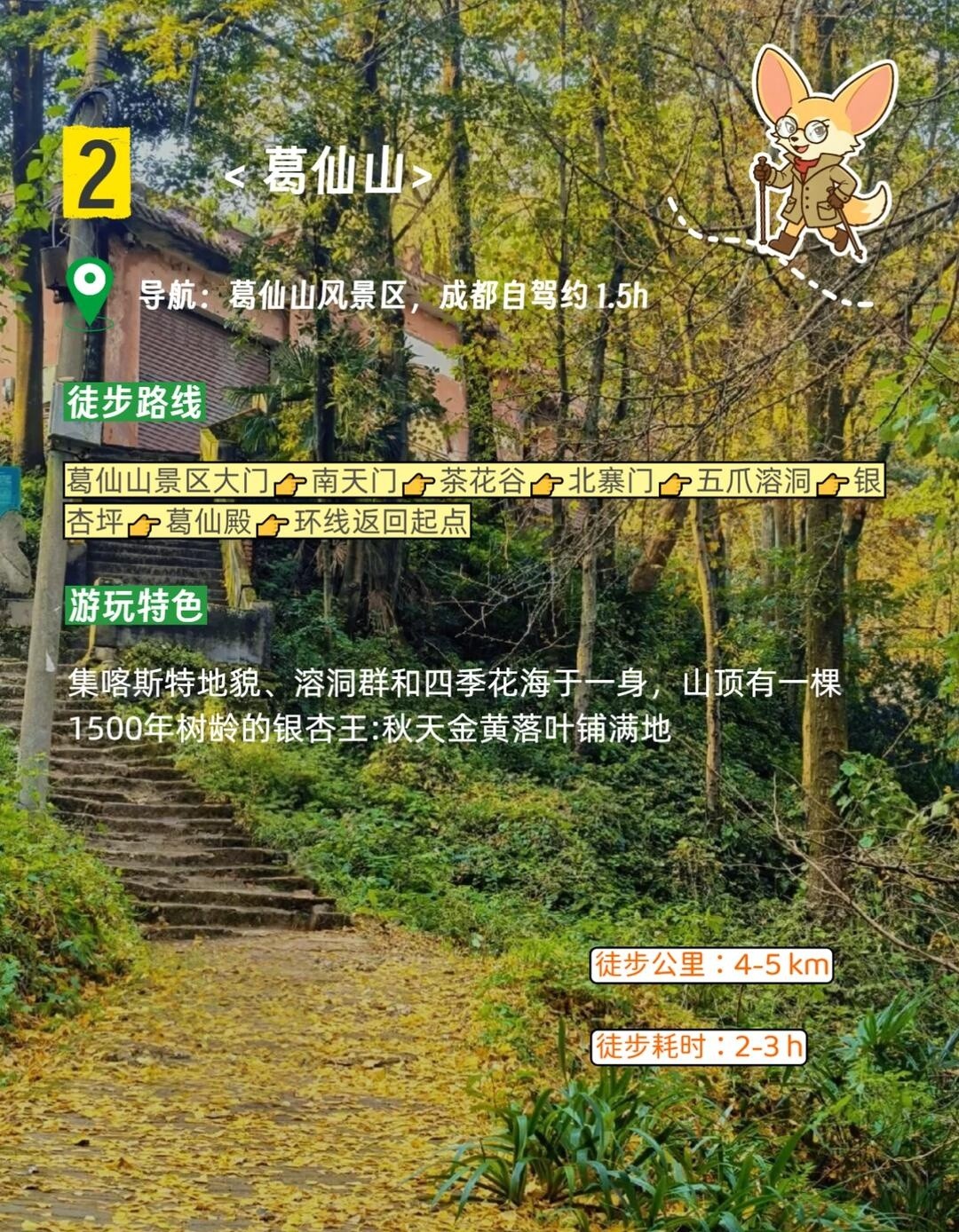 image_4.jpg
