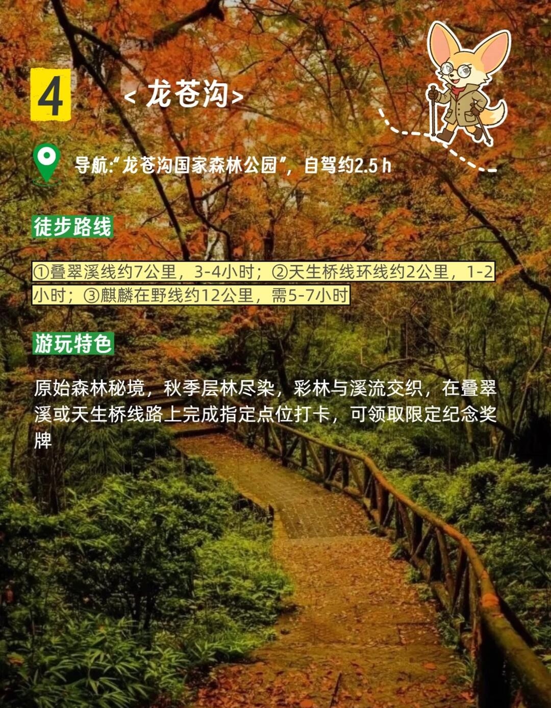 image_6.jpg