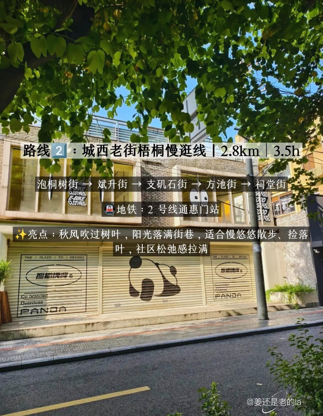 image_3.jpg