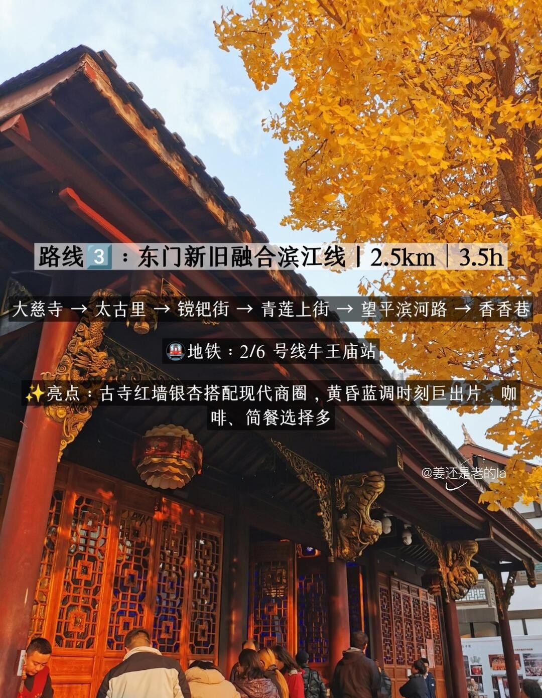 image_4.jpg