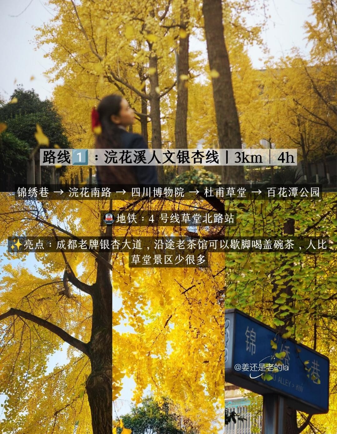 image_2.jpg