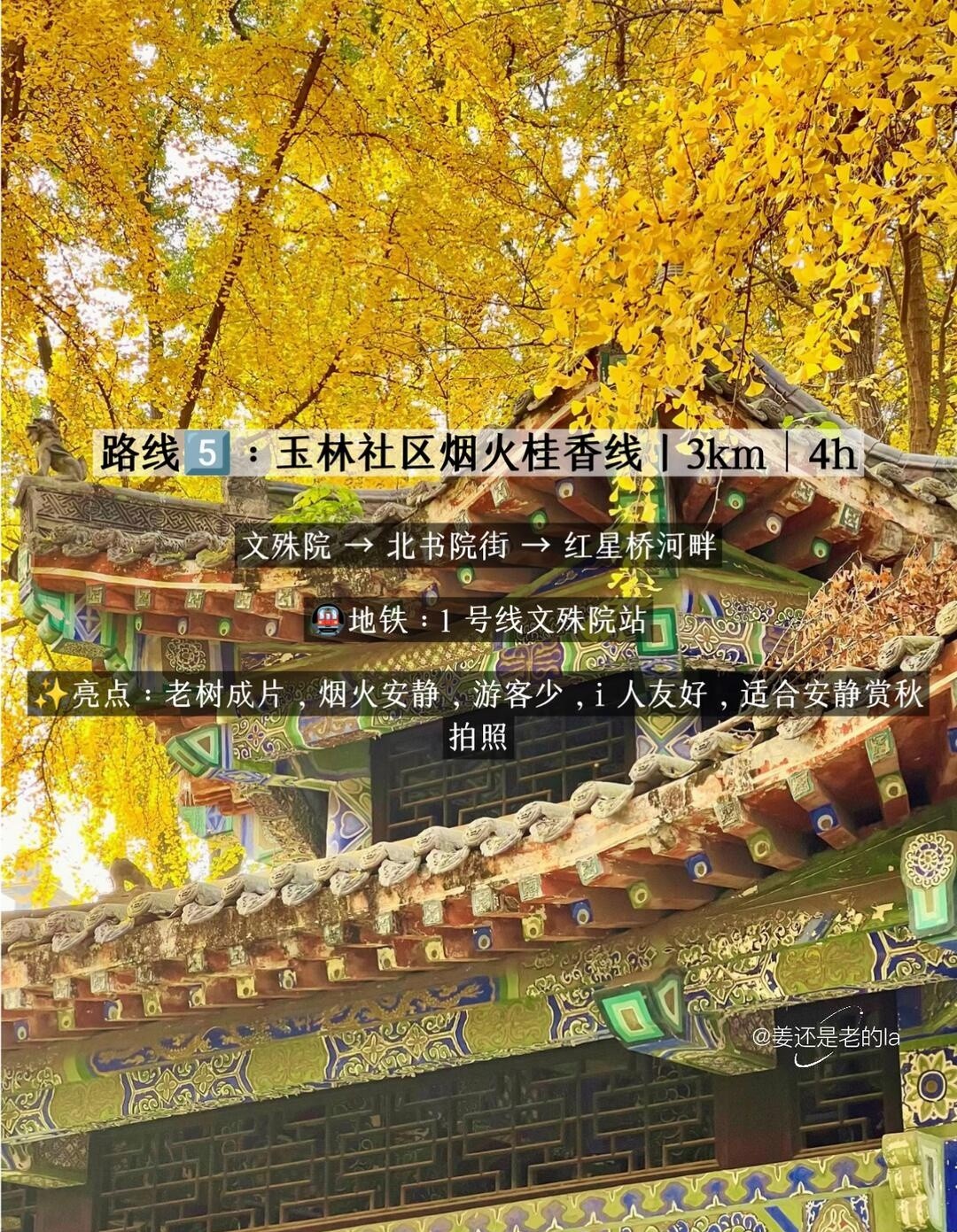 image_6.jpg