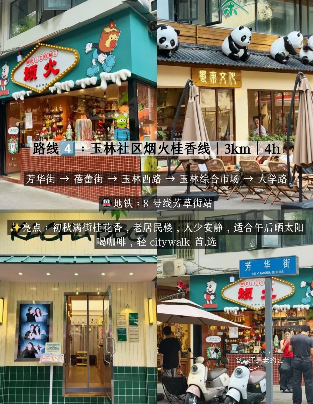 image_5.jpg