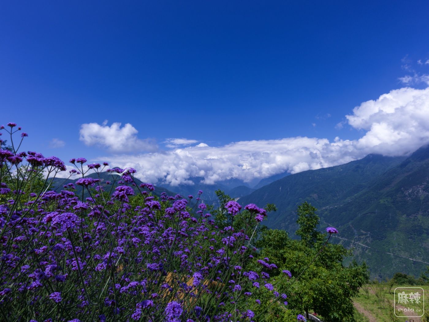 ����8_0013.jpg