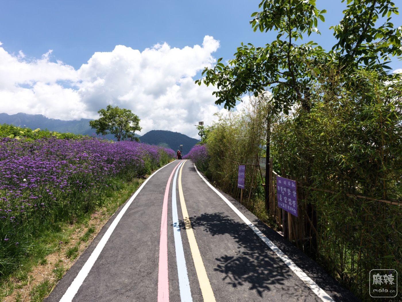 ����28_0038.jpg