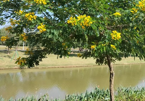 ΢��ͼƬ_20250523115310_����.jpg