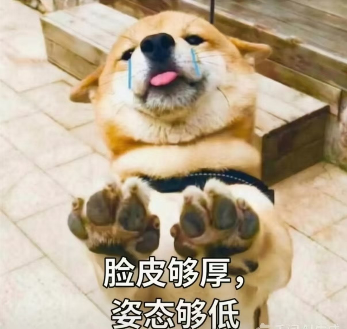 ΢��ͼƬ_20260918155022.jpg