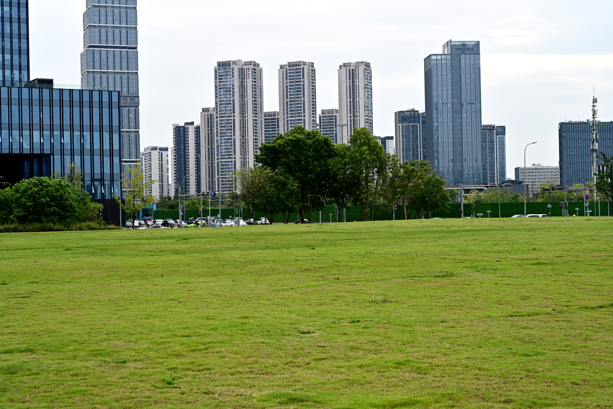 DSC_9574_����.jpg