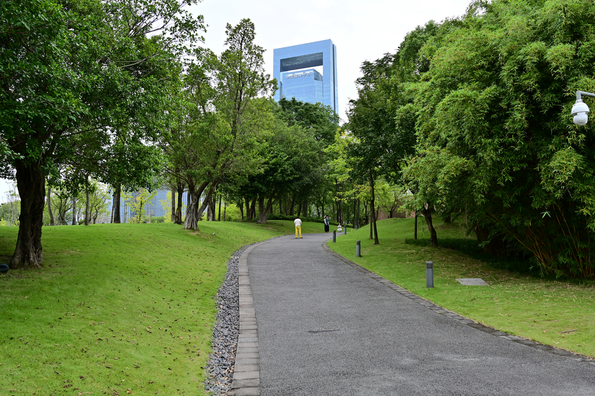 DSC_9588_����.jpg