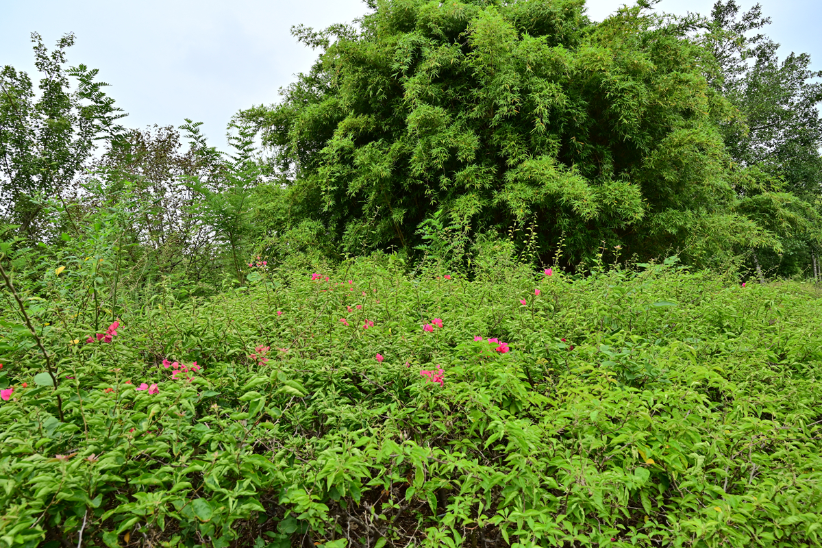 DSC_9589_����.jpg