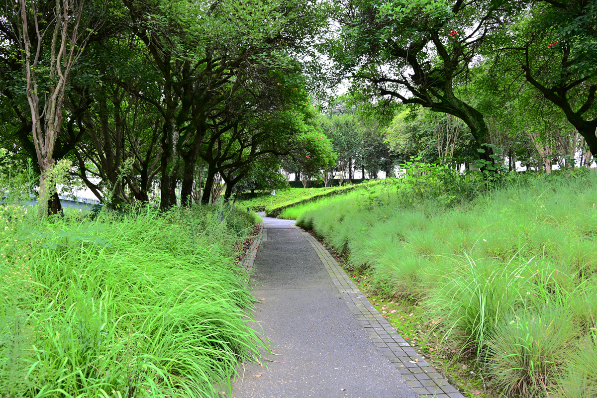 DSC_9605_����.jpg