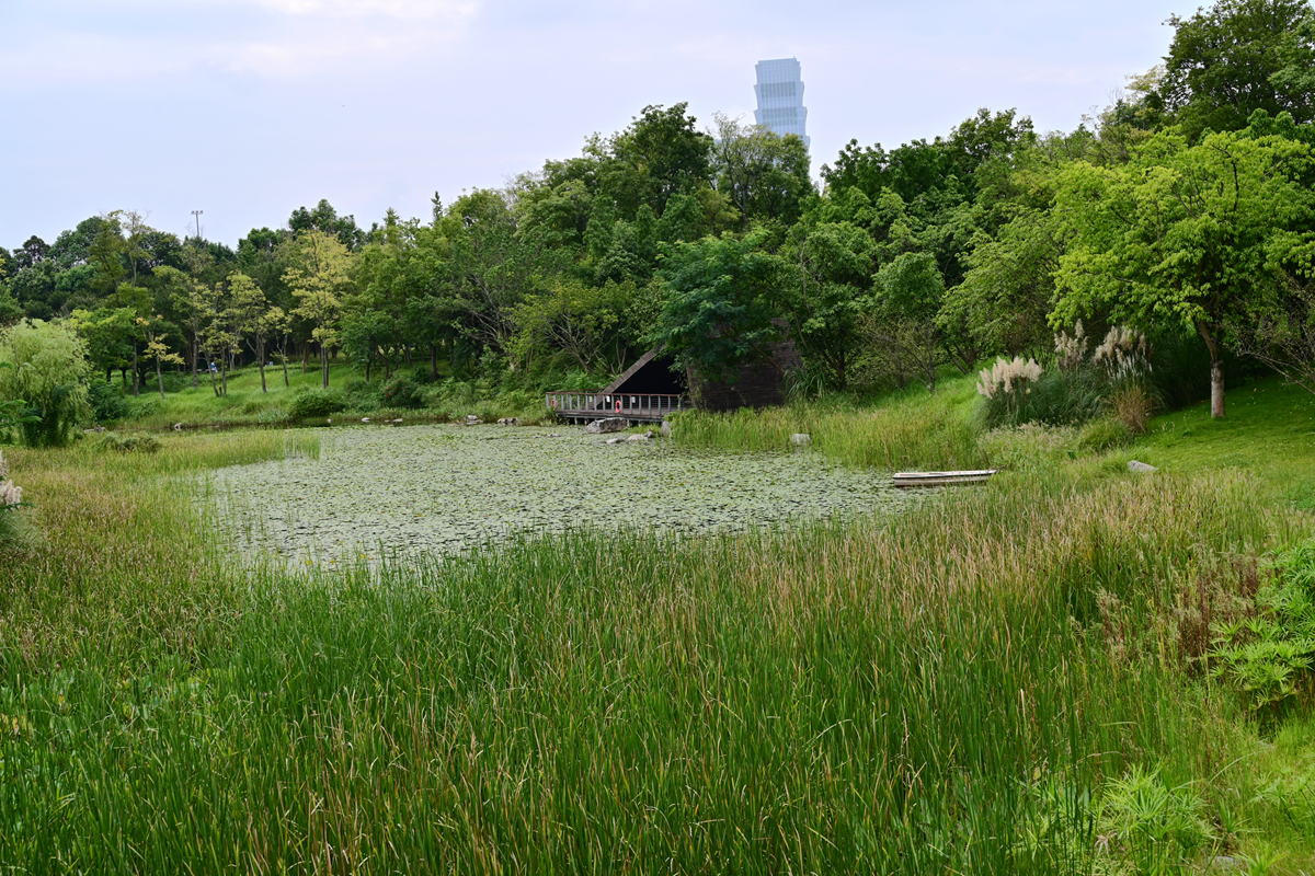 DSC_9624_����.jpg