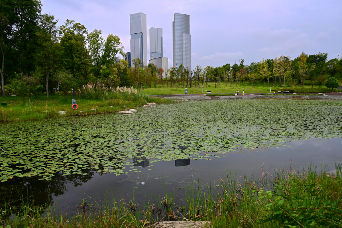 DSC_9643_����.jpg