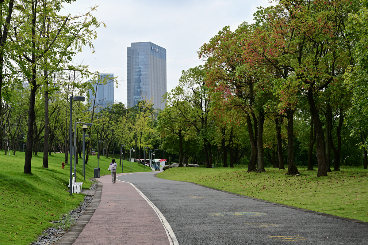 DSC_9648_����.jpg