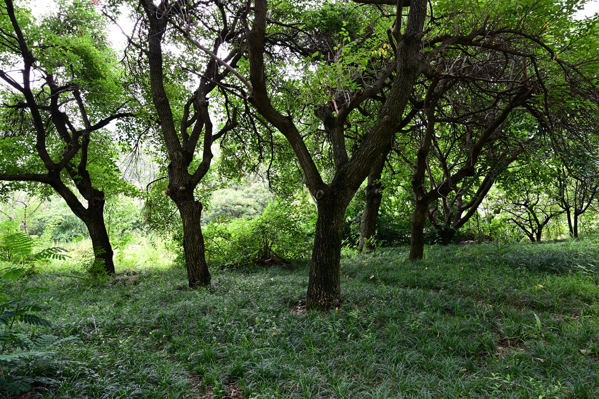 DSC_9653_����.jpg