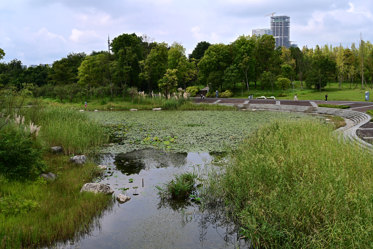 DSC_9672_����.jpg