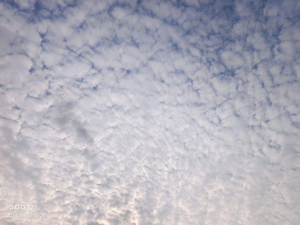20260918205039front2_0_7845980_FtfI61ZRc2hxsZf7bZnNHaMaq7dZ.jpg