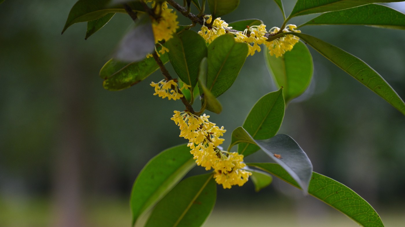 DSC_5088.JPG