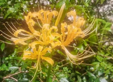 20260919172456655.png