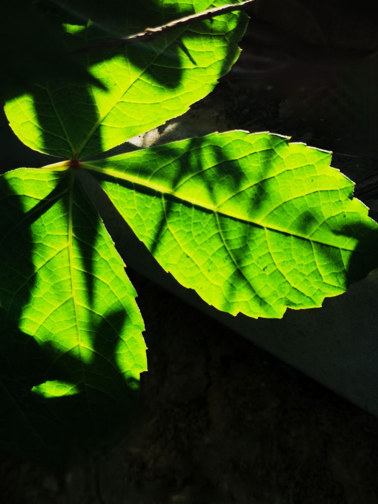 20260920132503front2_0_7958371_FkRx-ctHjB1bII5pO4XF_OB0oGHN.jpg