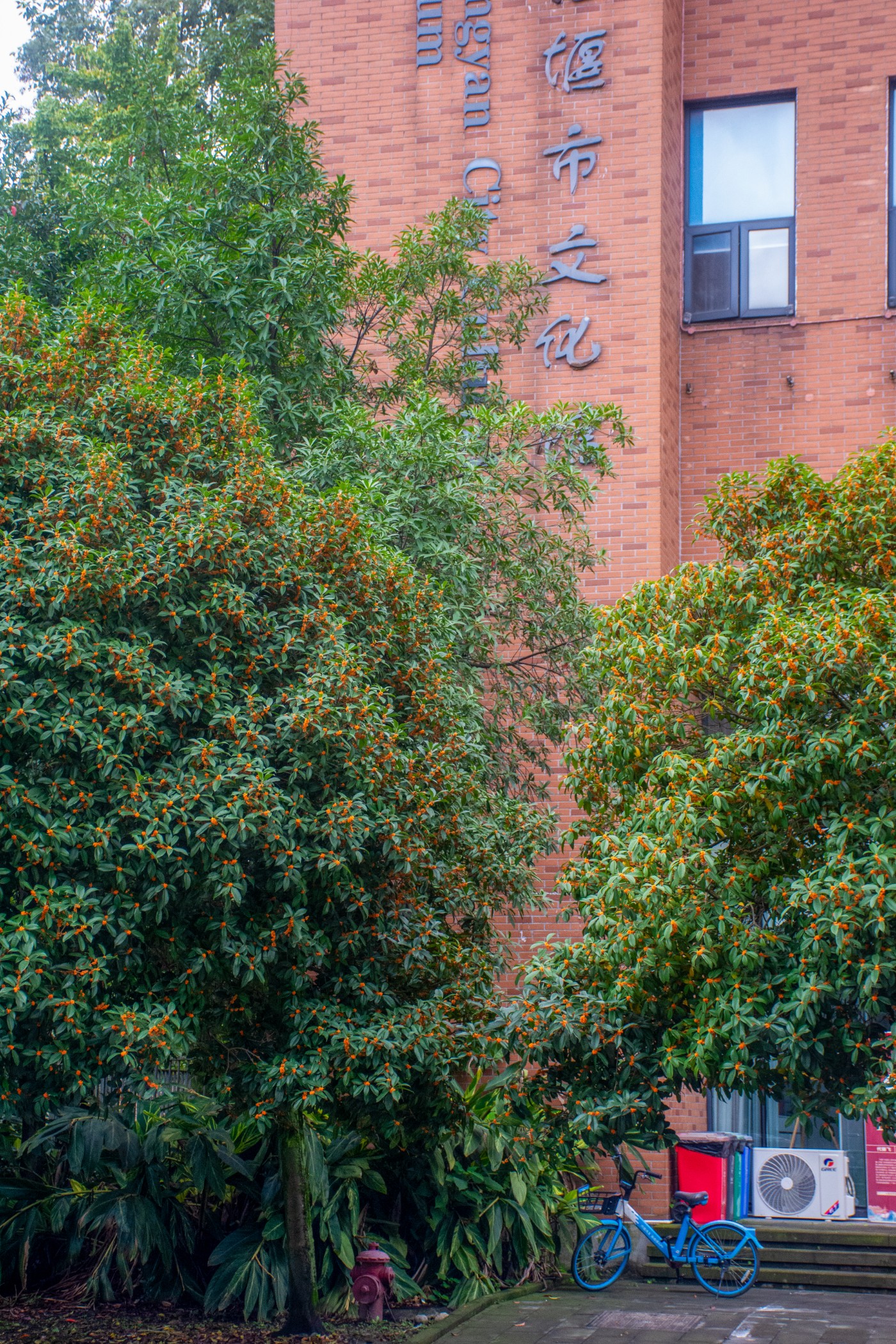 _DSC3687.jpg