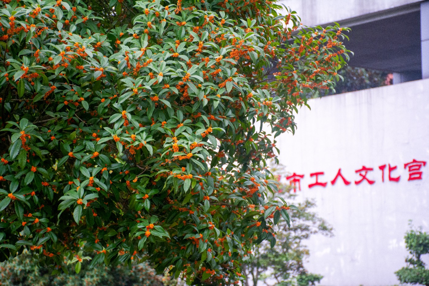 _DSC3689.jpg