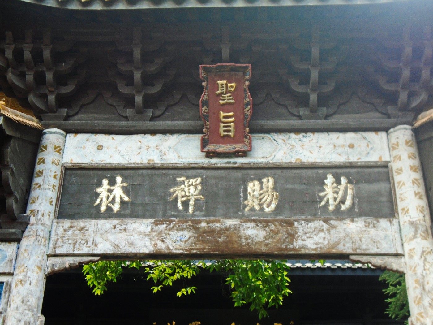 DSC03729.JPG