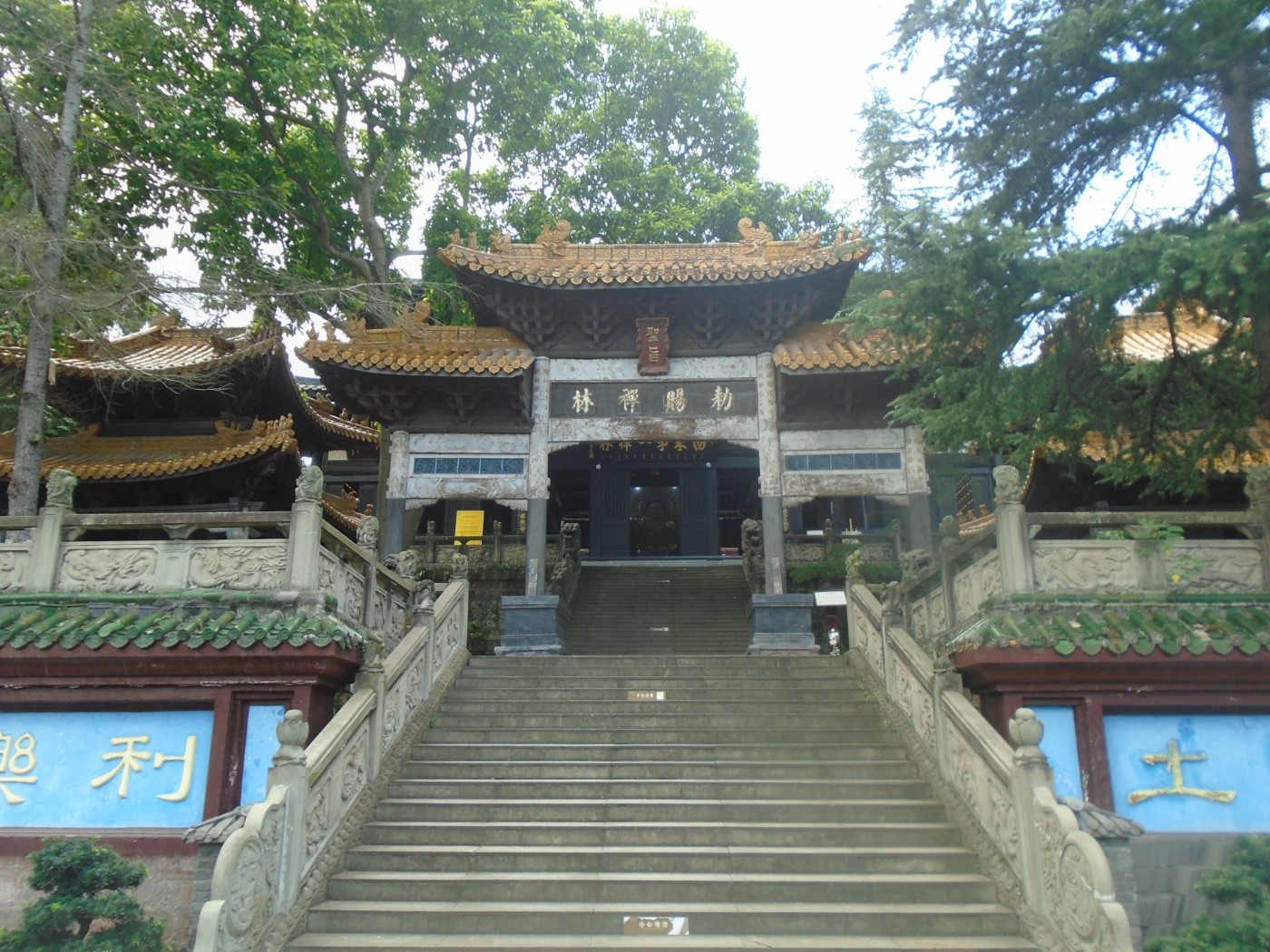 DSC03728.JPG