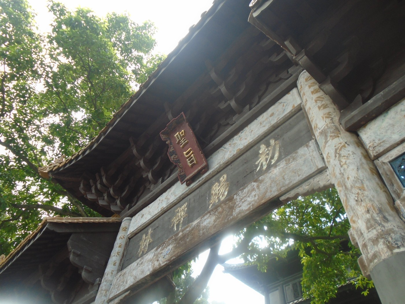 DSC03732.JPG