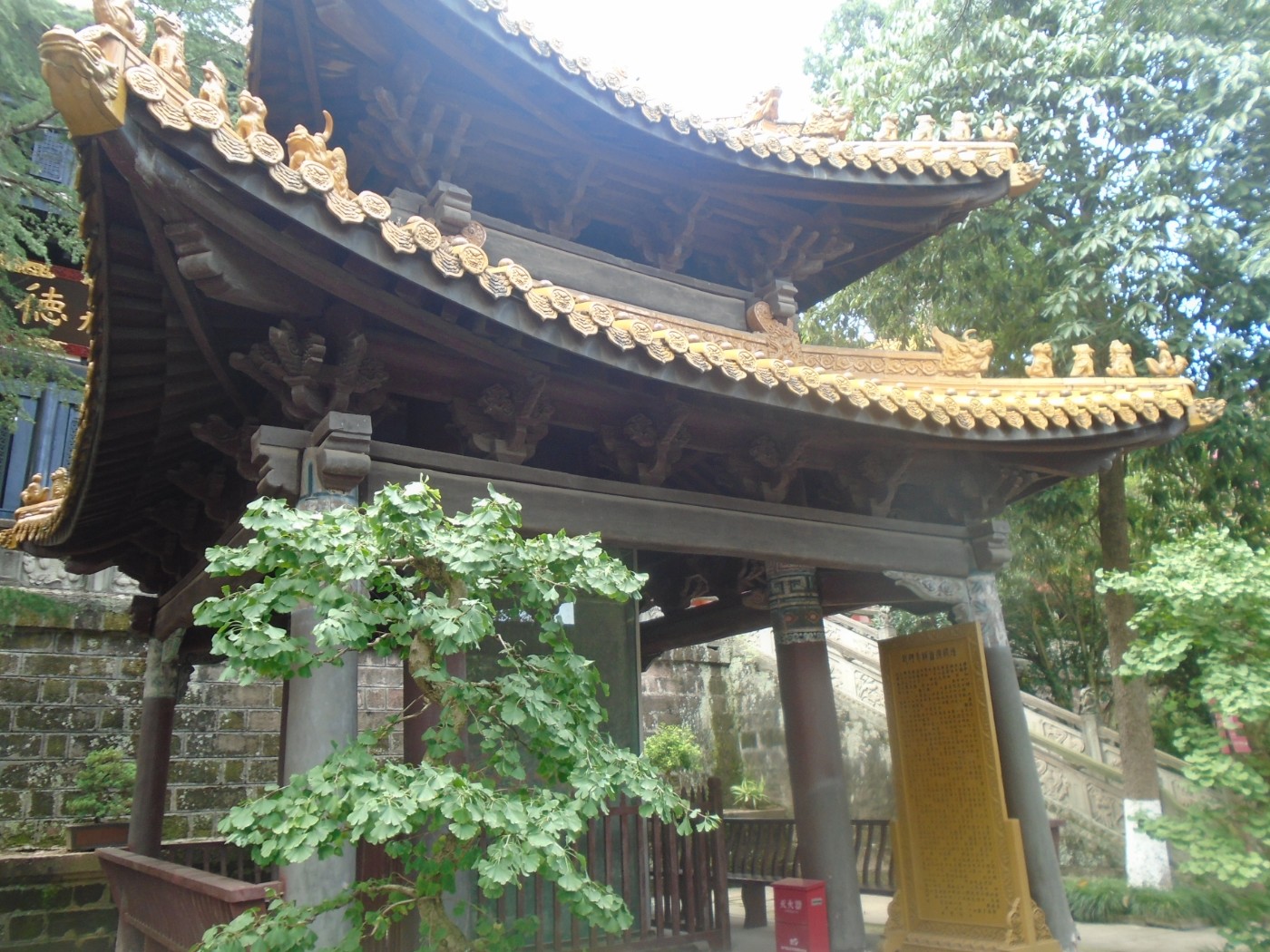 DSC03734.JPG