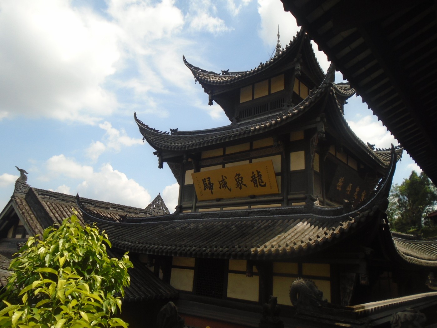 DSC03764.JPG