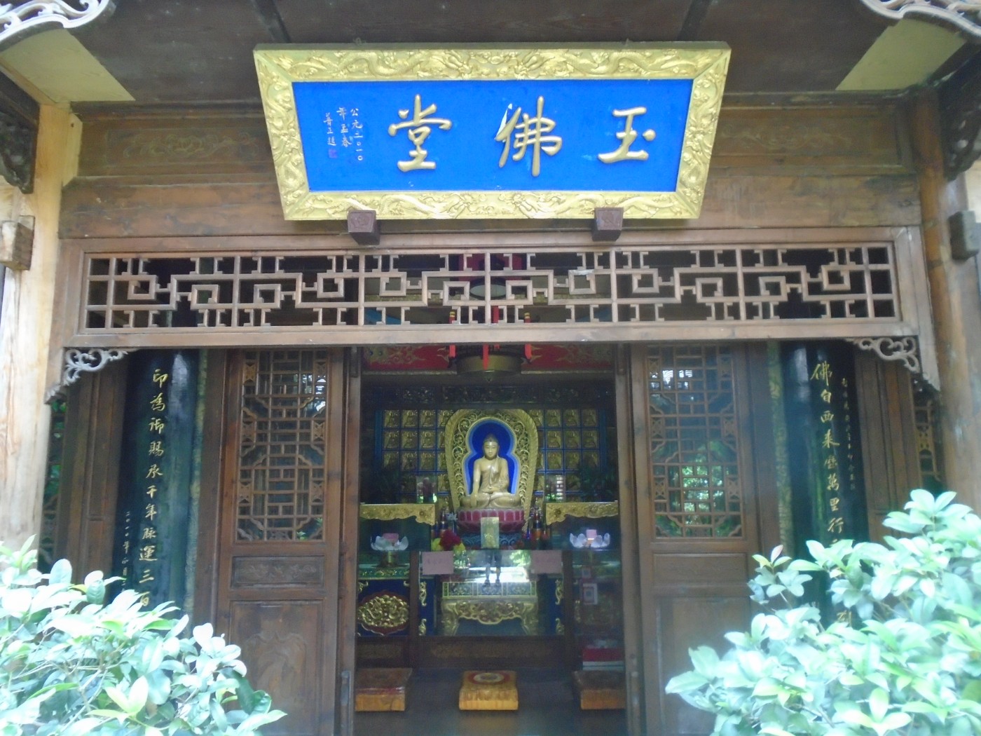 DSC03785.JPG