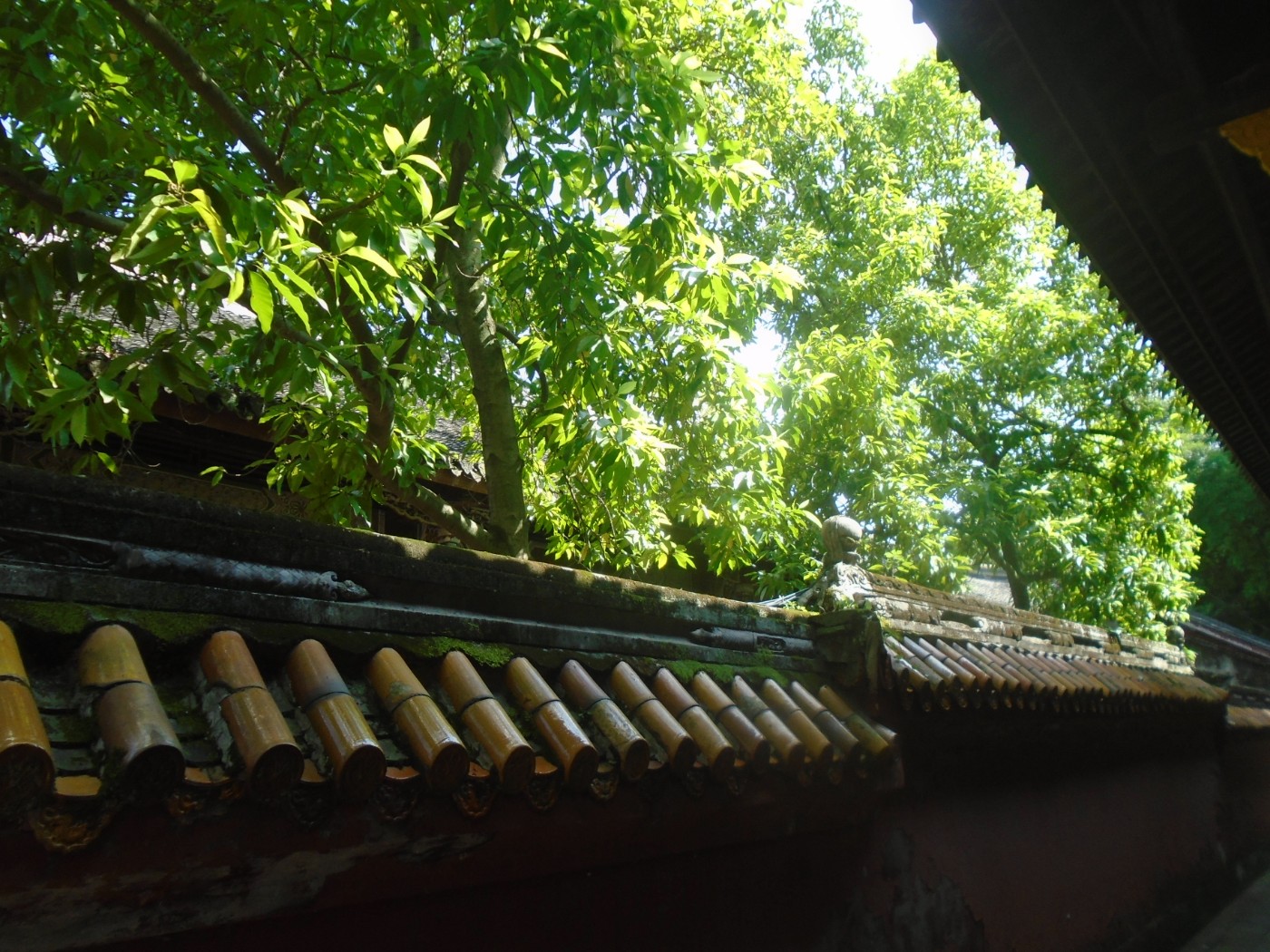DSC03794.JPG