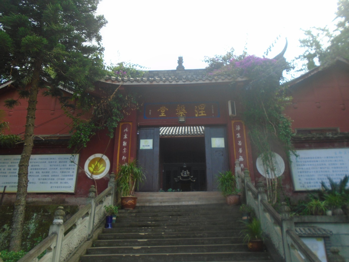 DSC03806.JPG
